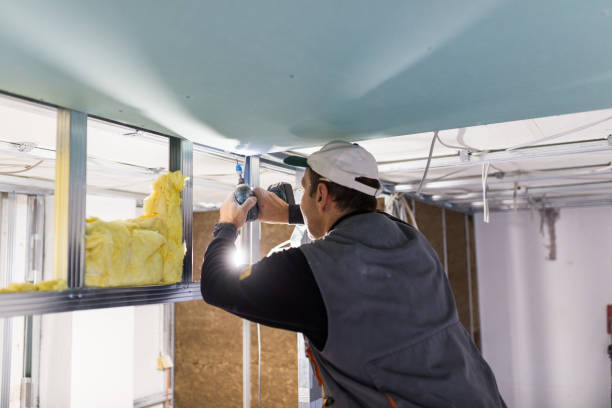 Best Insulation Maintenance and Repair in Colmar Manor, MD