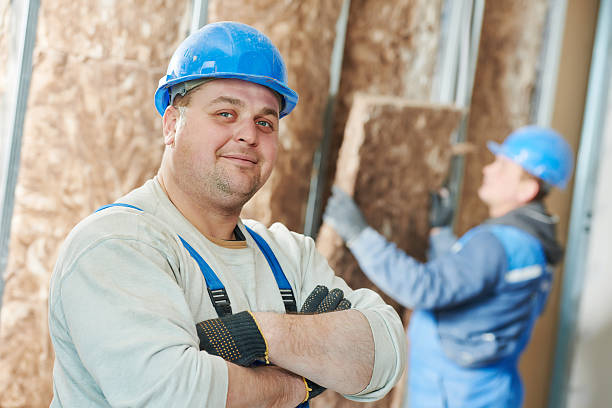 Best Cellulose Insulation in Colmar Manor, MD